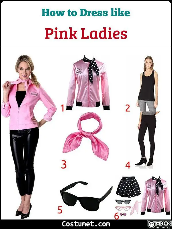 Pink Ladies (Grease) Costume for Cosplay & Halloween 2023